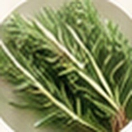 로즈마리